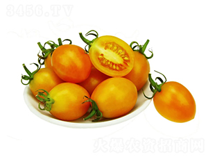 �̭t-С���ѷN��-���ڷN��