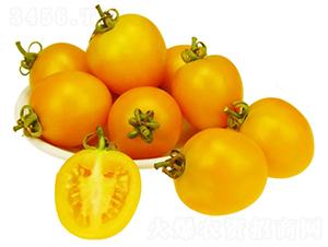 �ǻ�-С���ѷN��-���ڷN��