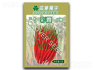 ��ϼ-�����N��-���ڷN��