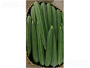 �A��-�z�ϷN��-���ڷN��