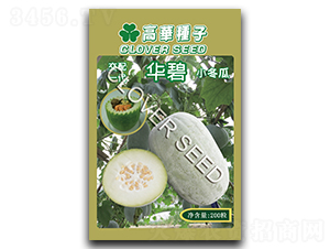 華碧-冬瓜種子-克勤種子