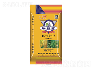 ��������Ч��������15-15-15-���S��-�G����(l��i)