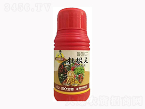 ��ˎ�ĉѸ��`-��(��i)���_(d��)