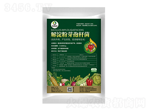 解淀粉芽孢桿菌-農(nóng)保生物