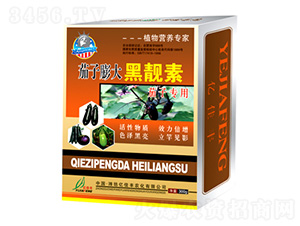 ���������n��-�|���S