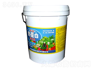 �����̵���-�|���S