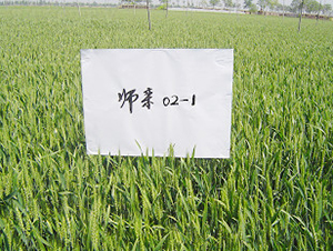 ����02-1-С���N��-�ػͷN�I(y��)