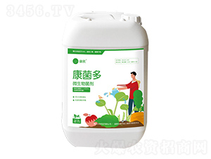 ������΢�������-��������