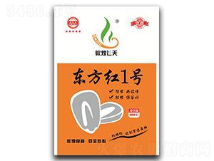 東方紅1號-玉米種子-敦煌種業(yè)