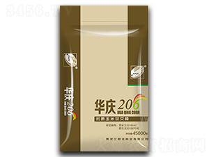 華慶206-玉米種子-龍科種業(yè)