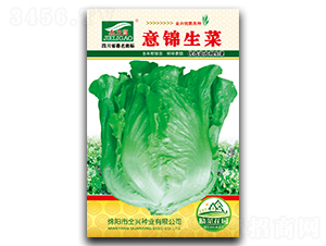 ���\����-���˷N��-ȫ�d�N�I(y��)