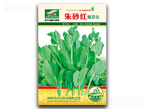 ��ɰ�t-�㶹��N��-ȫ�d�N�I(y��)