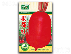 �����t-�}���N��-ȫ�d�N�I(y��)