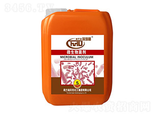 �������������-����ʿ