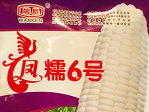 �PŴ6̖-���׷N��-��N�I(y��)