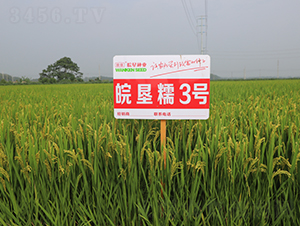 �Ŵ3̖(h��o)-ˮ���N��-��N�I(y��)