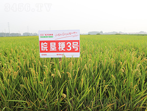 ���3̖(h��o)-ˮ���N��-��N�I(y��)