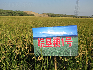 ���1̖(h��o)-ˮ���N��-��N�I(y��)