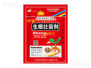 �����������焩-�~����