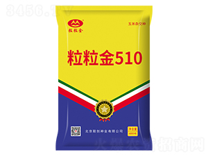 ������510-���׷N��-(li��n)��(chu��ng)�N�I(y��)