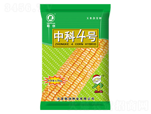 中科4號-玉米種子-聯(lián)創(chuàng)種業(yè)