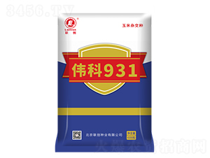 偉科931-玉米種子-聯(lián)創(chuàng)種業(yè)