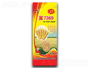 С����7369-С���N��-����N�I(y��)