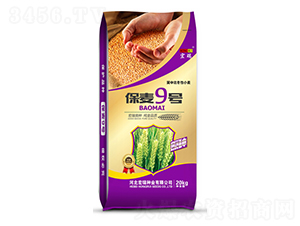 ����9̖(h��o)-С���N��-����N�I(y��)