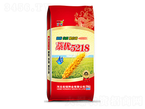 ޻��(y��u)5218���t��-С���N��-����N�I(y��)