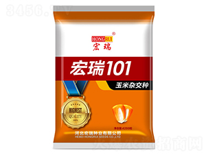 ����101-���׷N��-����N�I(y��)