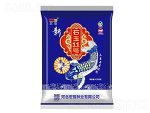 石玉11號-玉米種子-宏瑞種業(yè)