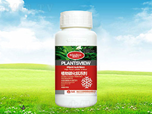 300��ֲ��Ż�������-����