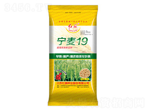 ����19-С���N��-�t��N�I(y��)