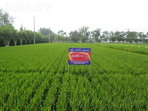 ���\(y��n)��32̖(h��o)-ˮ���N��-�t��N�I(y��)