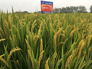 ̩�㾬1402-ˮ���N��-�t��N�I(y��)