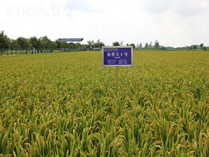 ������1̖ˮ���N��-������