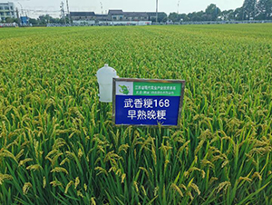 ���㾬168-ˮ���N��-������