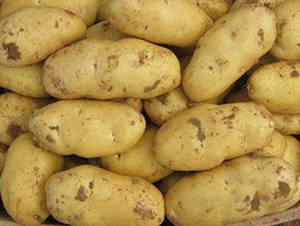 ������12̖-�����N��-���S�N�I(y��)