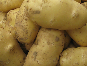 ���S12̖(h��o)-�����N��-���S�N�I(y��)