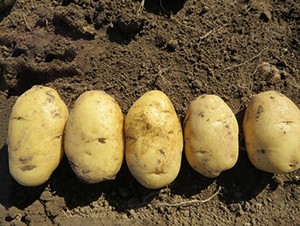 ���S��(y��u)�x-�����N��-���S�N�I(y��)