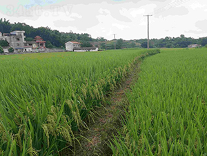 ���Ƀ�(y��u)164-ˮ���N��-�����N�I(y��)