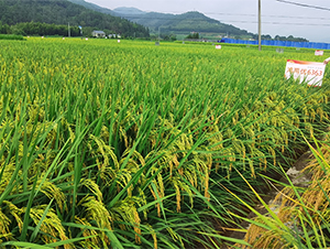 ����Ƀ�(y��u)6363-ˮ���N��-�����N�I(y��)