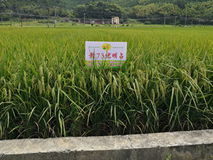 �M73��(y��u)��ռ-ˮ���N��-�����N�I(y��)