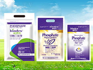 �{(l��n)��ʿ��������-����