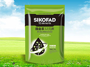 ʩȫ�S12Ԫ��-����