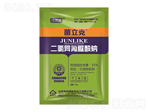 20g���Ȯ��������c-������-�G����-�L�S����