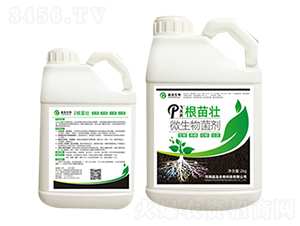 �����-��Ʒ����