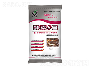 �ⶾ��������-����5̖-�_(d��)�S