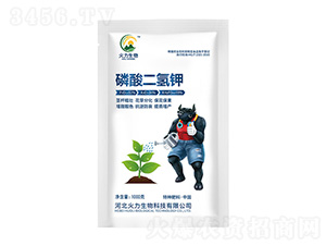 ��������-��������