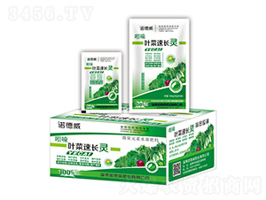 �����~�����L�`-�Z����